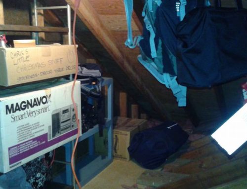 Attic Storage Area